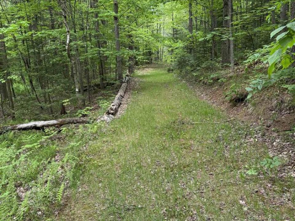 51508-f319074b-2455-4a74-98c9-e0634001fe