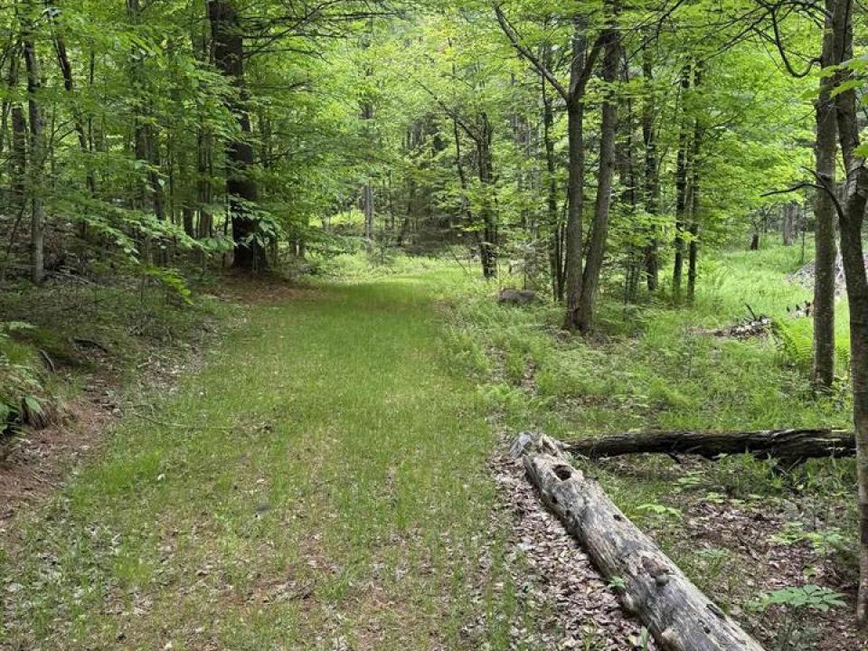 51508-14a2d253-4866-4c59-a142-4d3293f6a2