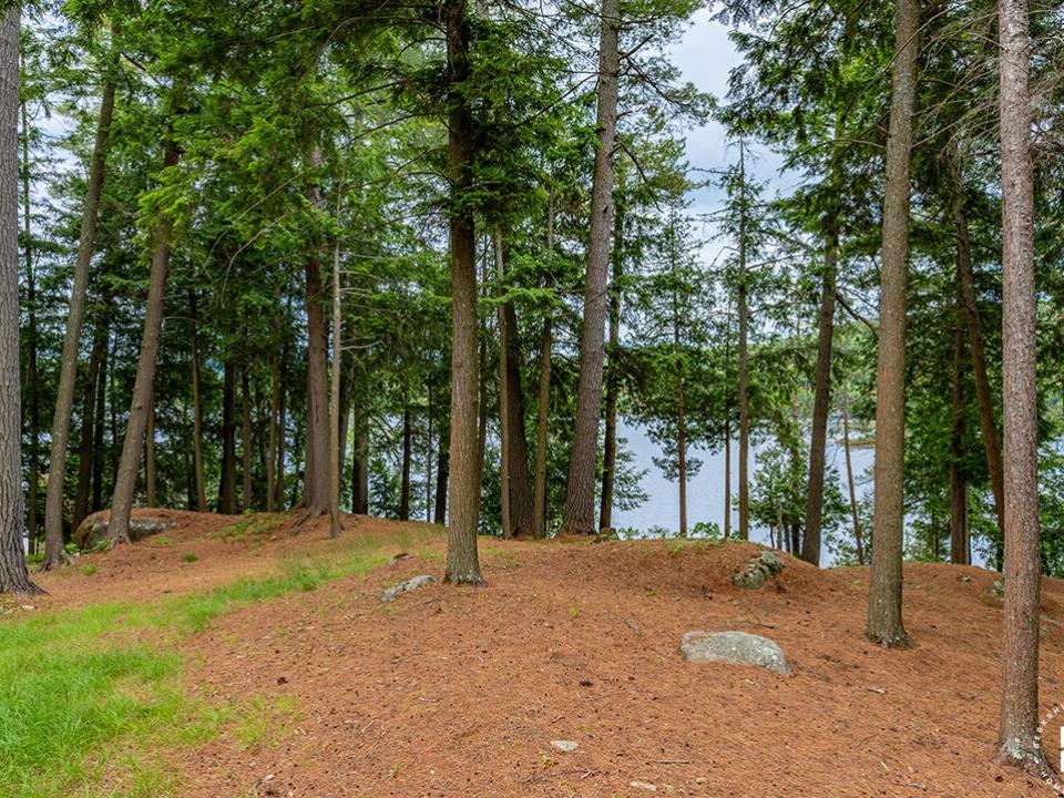 HistoricHomeOnLowerSaranacLake_MH_Yard_V