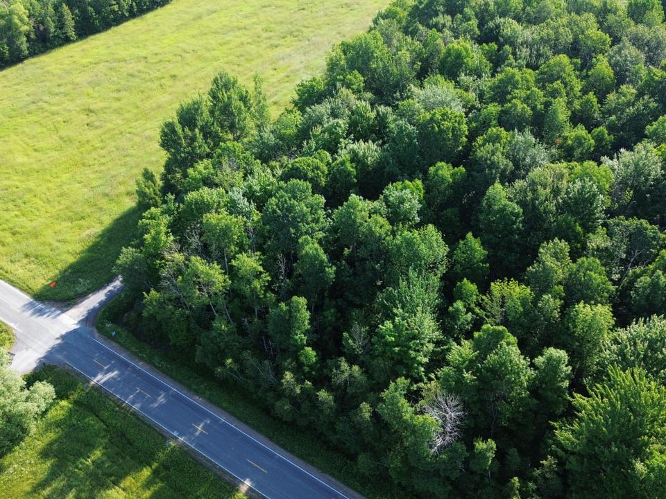 DJI_0466