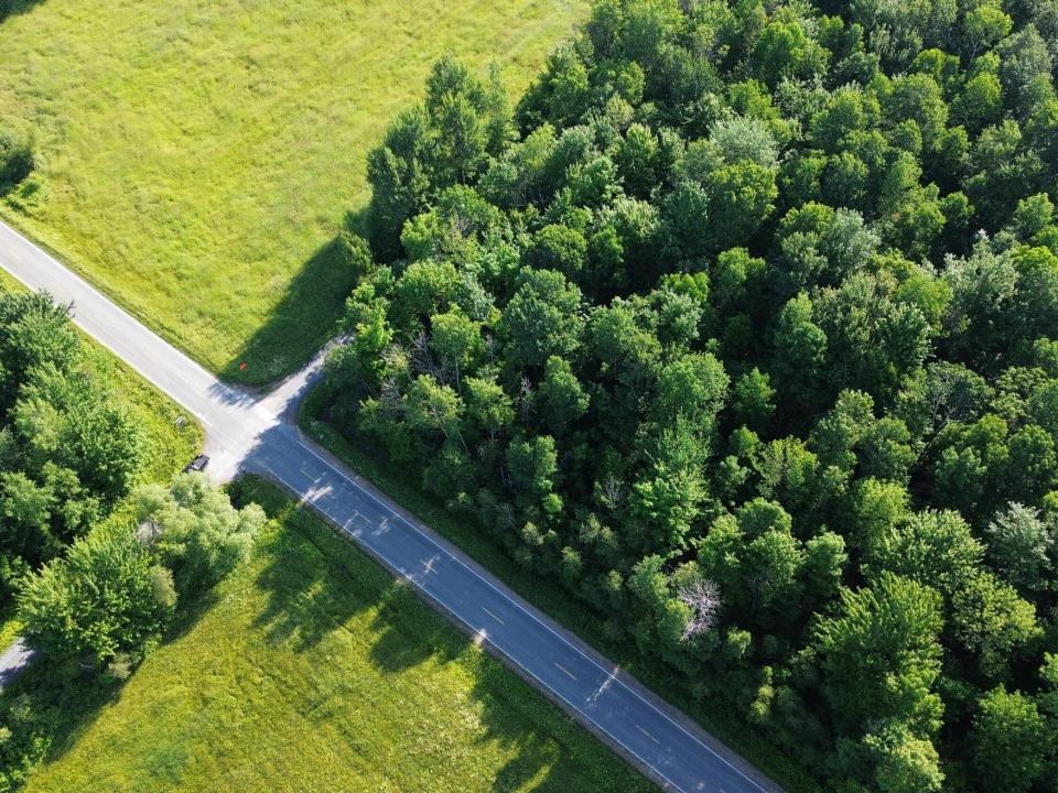 DJI_0467