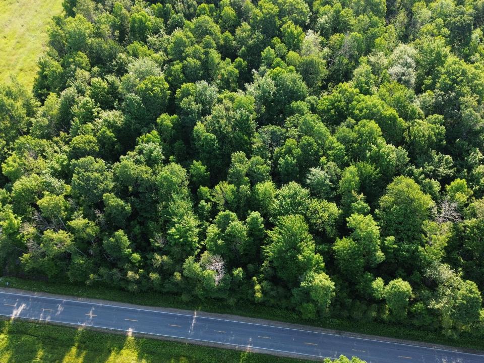 DJI_0468