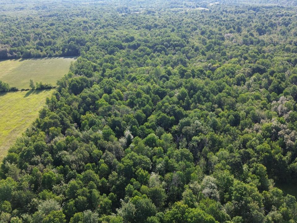 DJI_0469