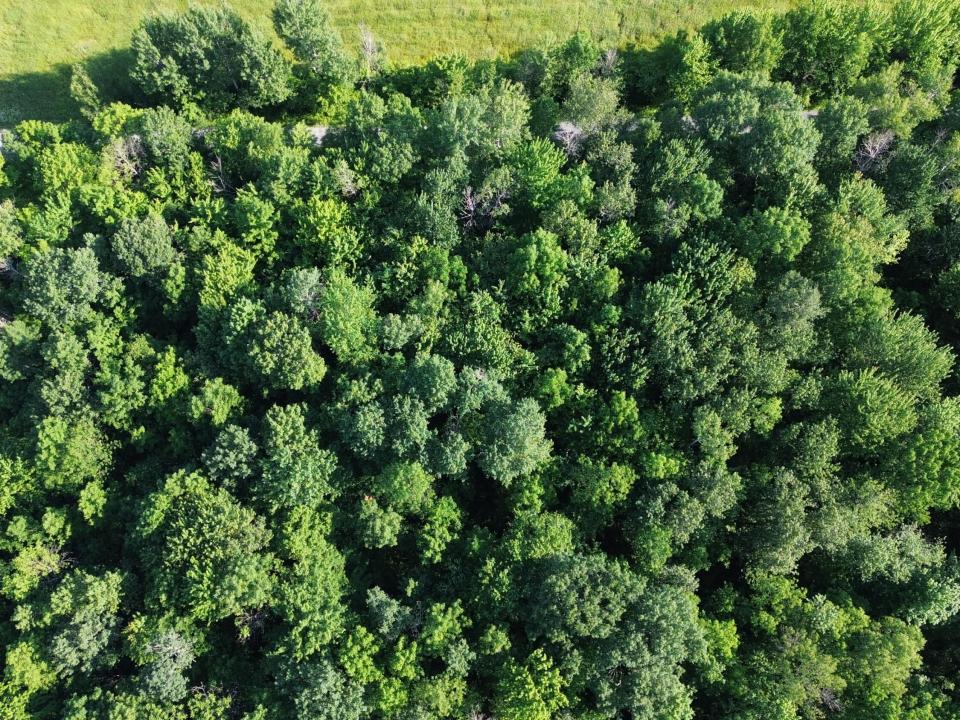 DJI_0470