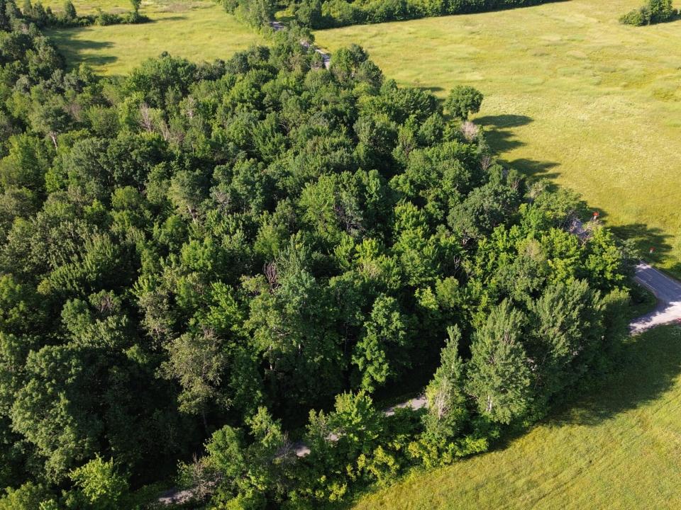 DJI_0471