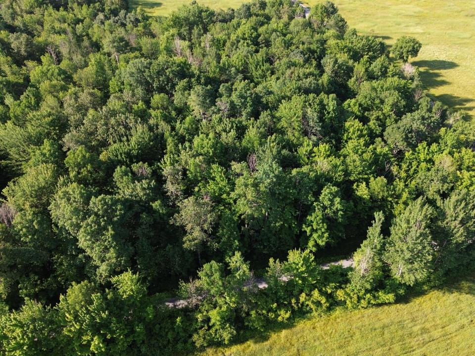 DJI_0472