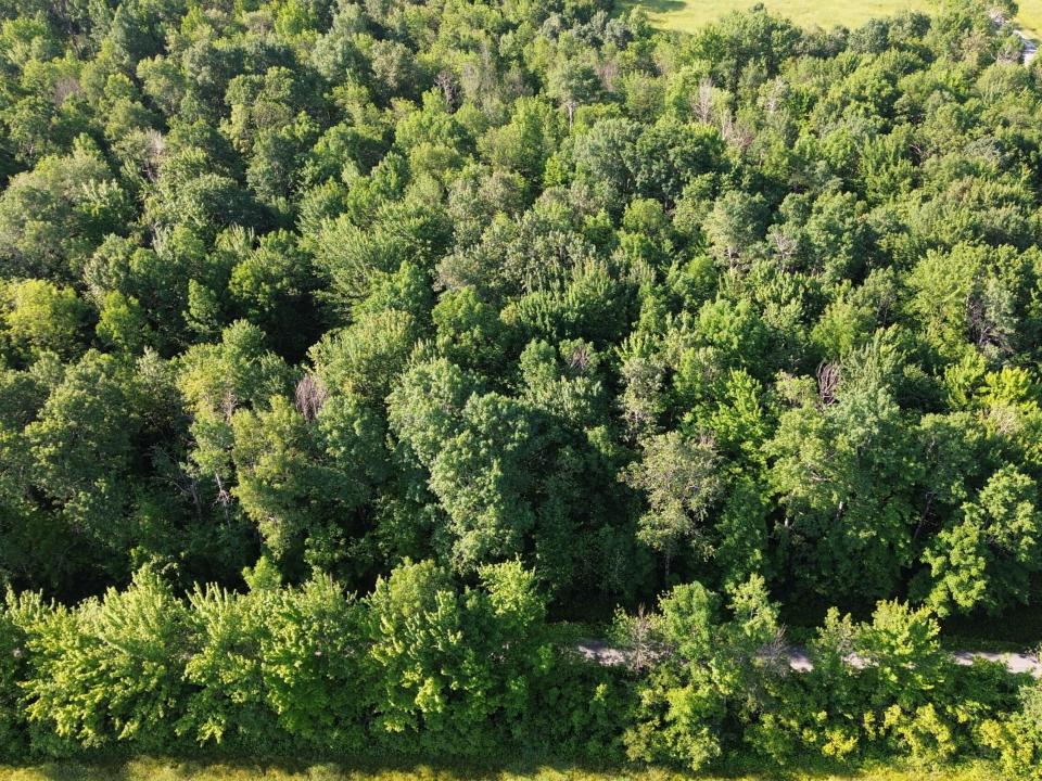 DJI_0473