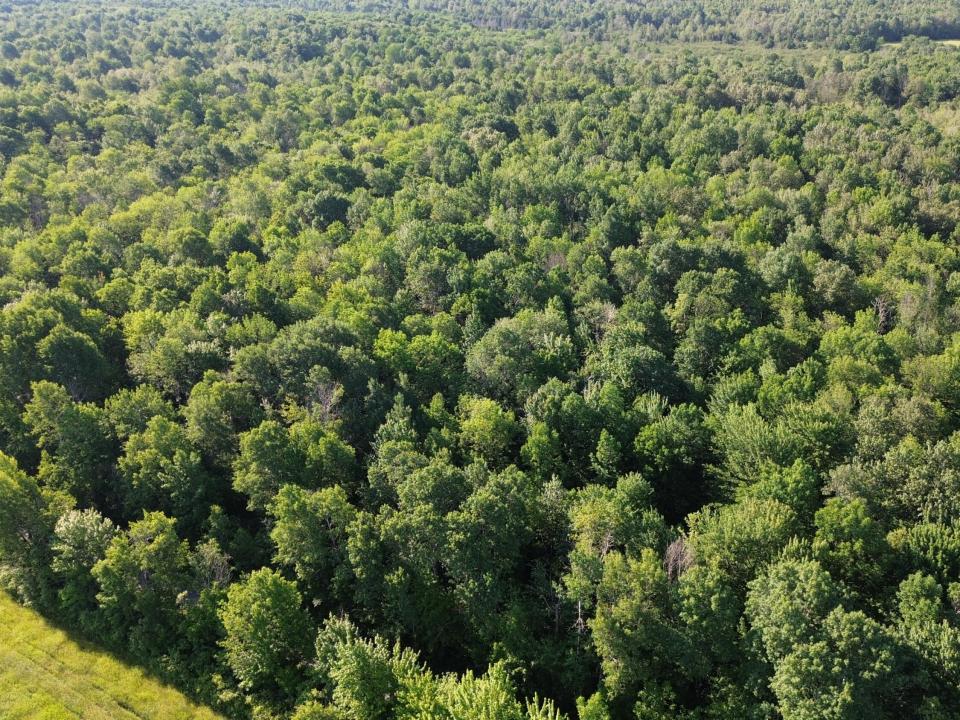 DJI_0474