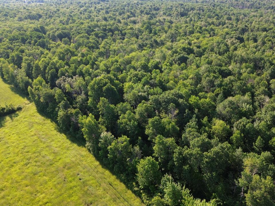 DJI_0475