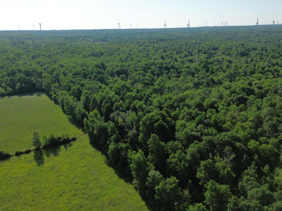 DJI_0476