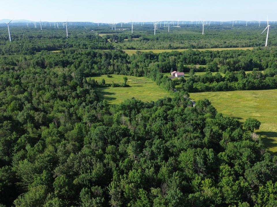 DJI_0478