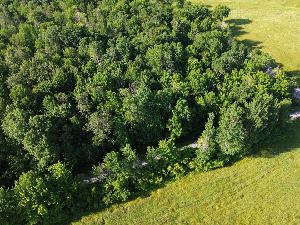 DJI_0479