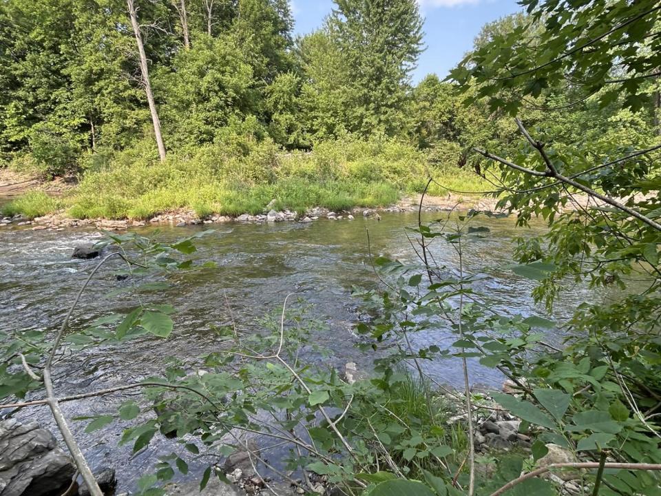 Riverview