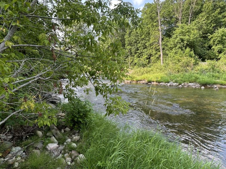 Riverview North