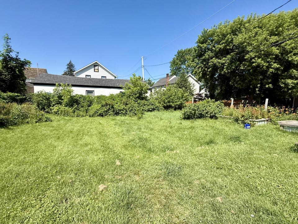 Back yard