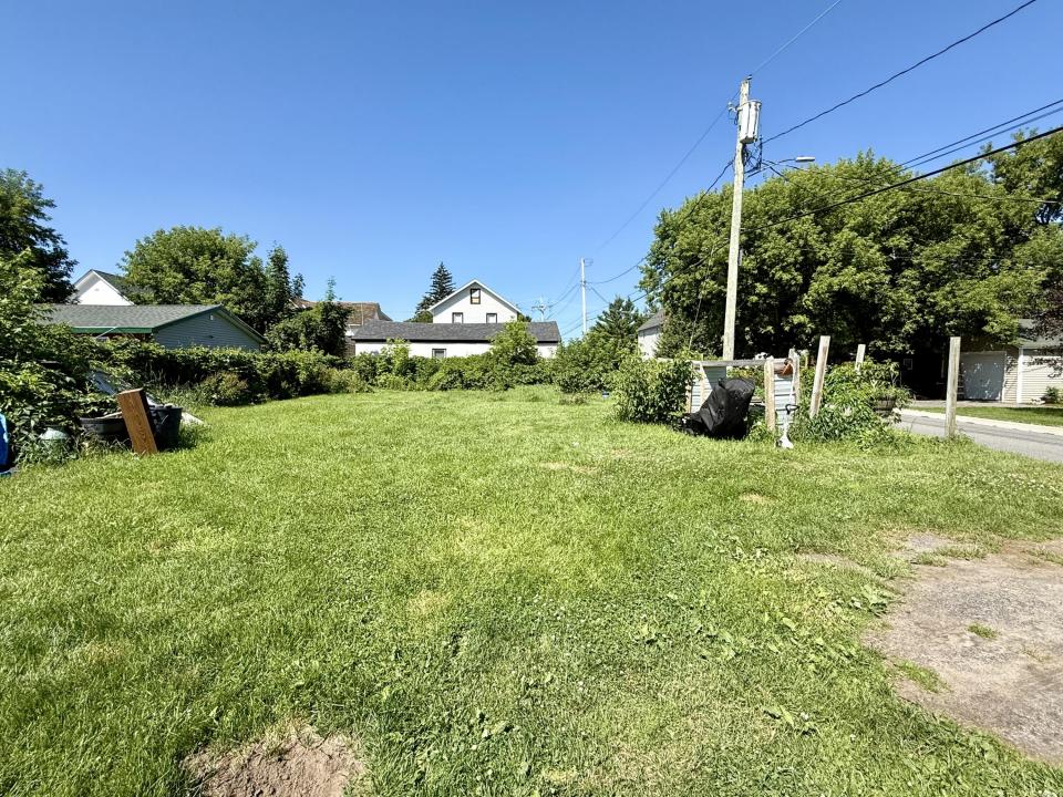 Back yard