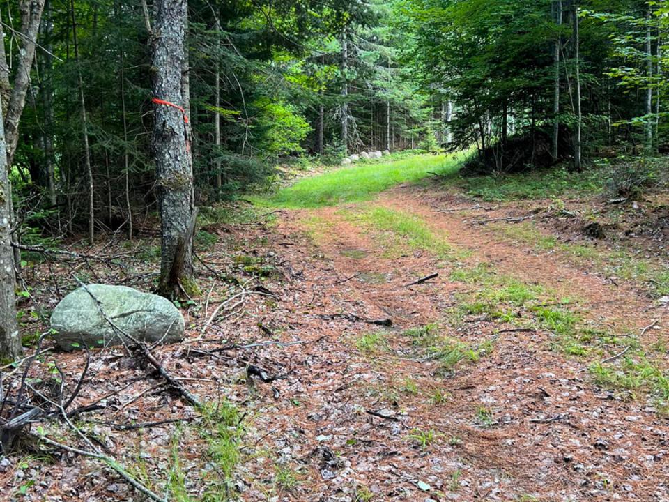 LandOnColdBrookRoad_Driveway