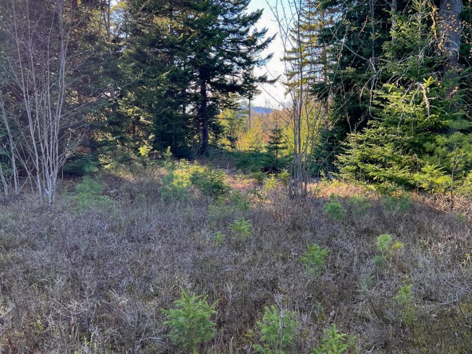 LandOnColdBrookRoad_Land_Partial_Mtn_Vie