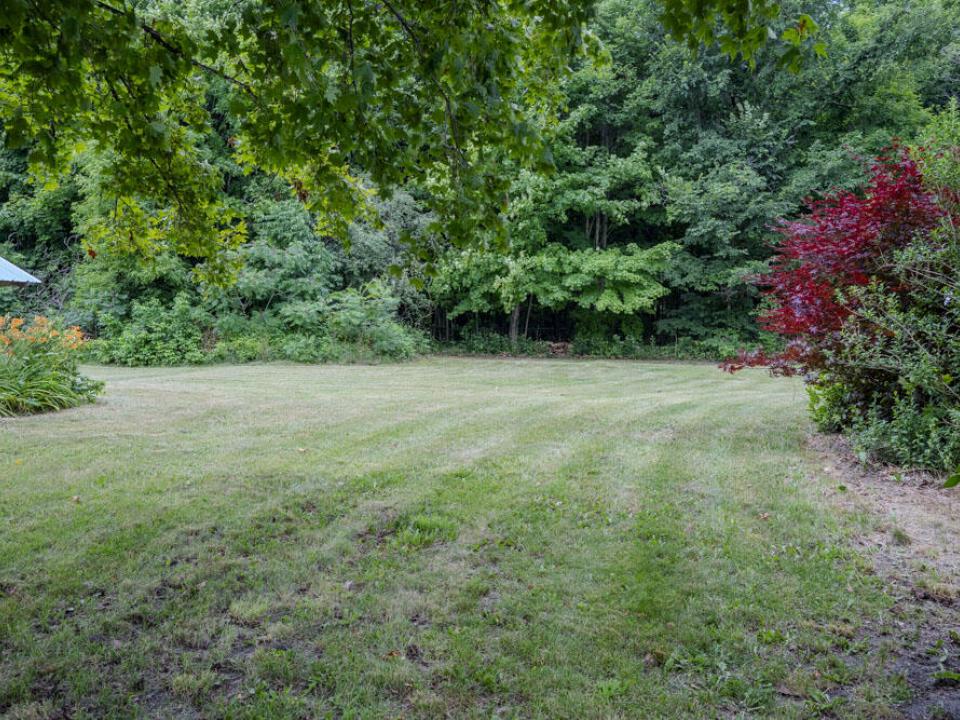 Side Yard