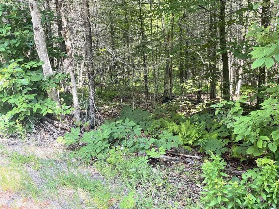 Cleveland Road 4