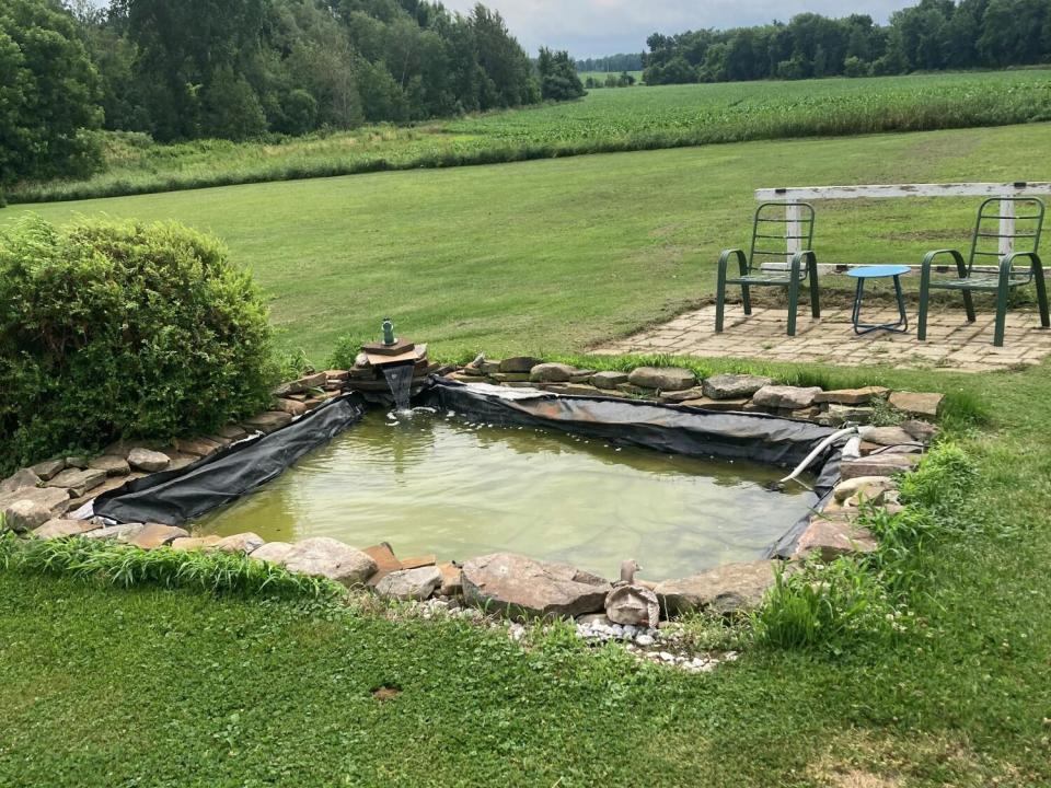Pond