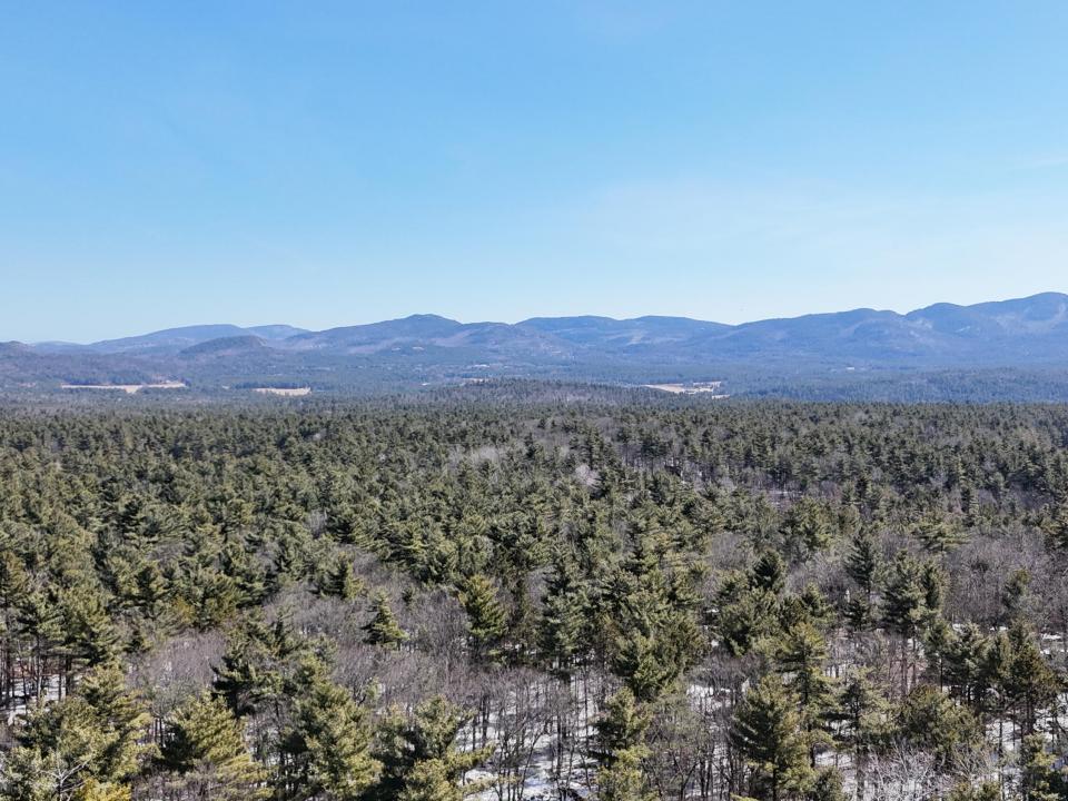 dji_fly_20250314_124030_0711_17501076165