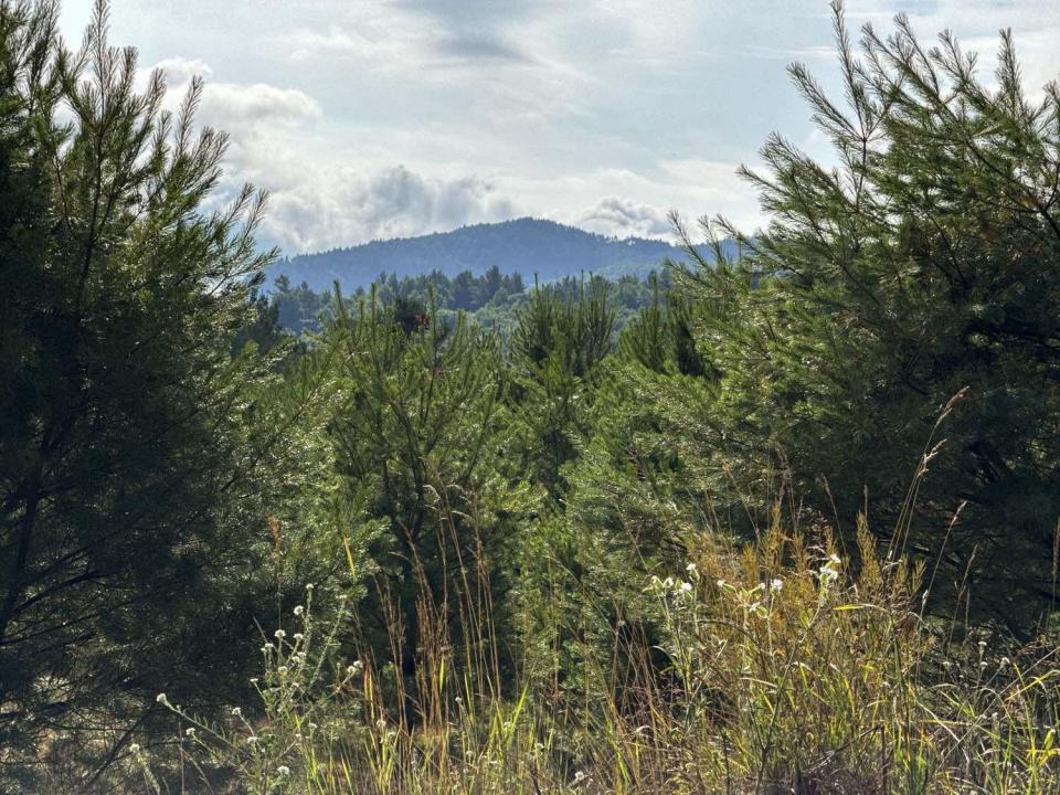 Mountain Views