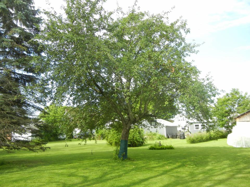 DSCN7134