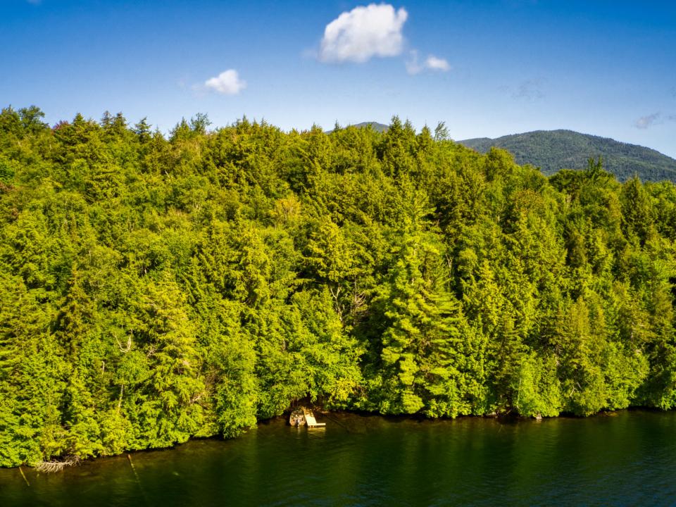 DJI_0081