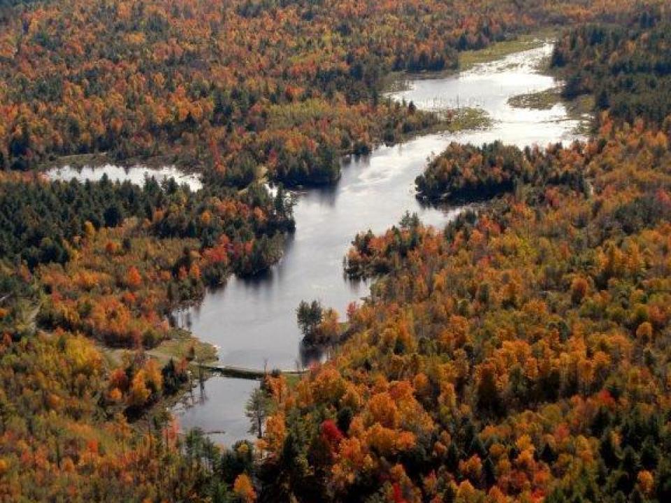 fall lake view