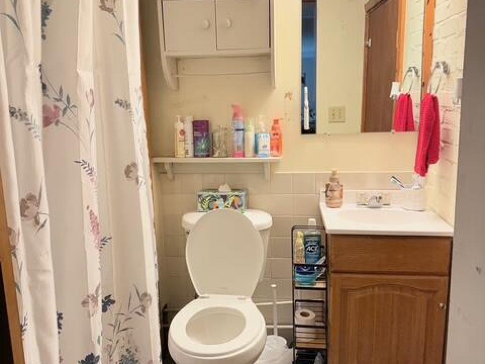 39 Shepard unit 3 bath pic 1