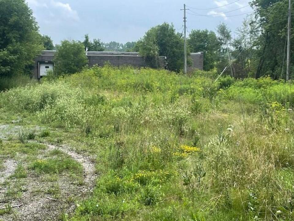 Front From Road