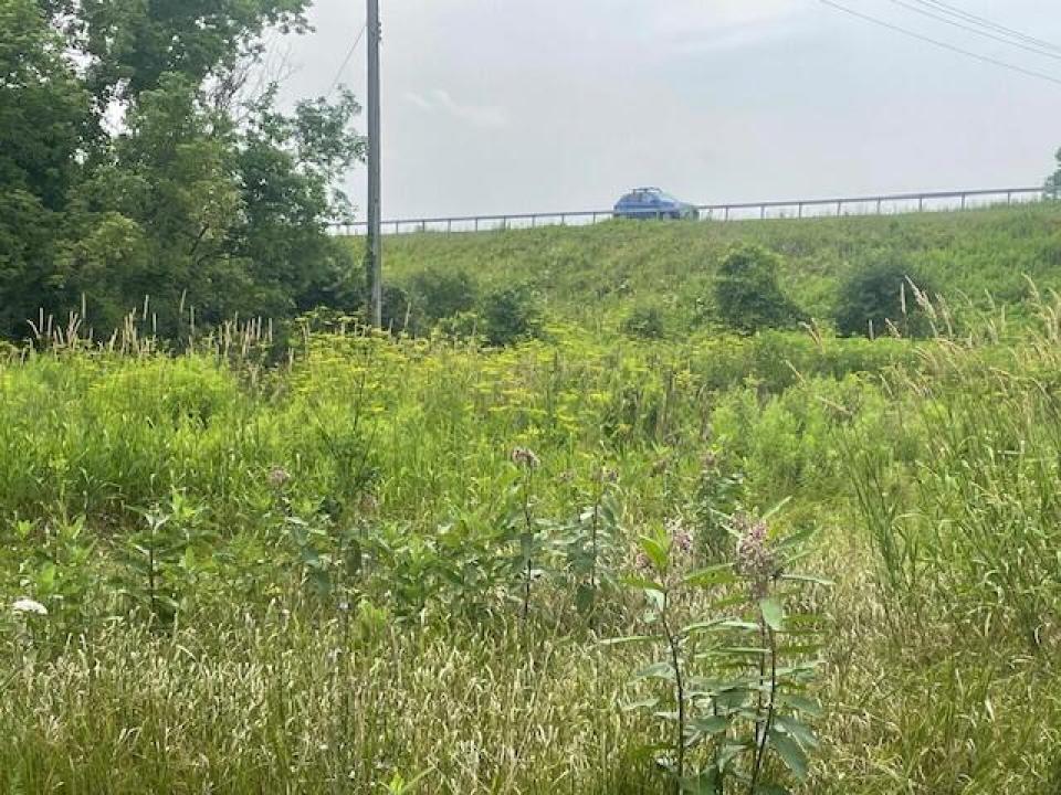 View of 87
