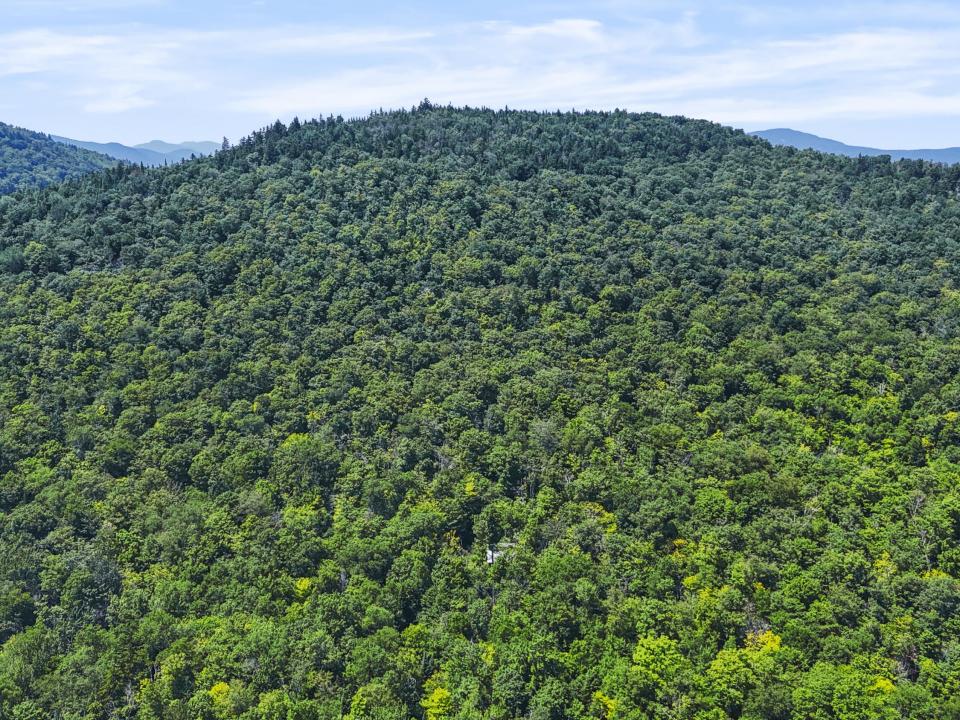 DJI_20250715133658_0037_D_
