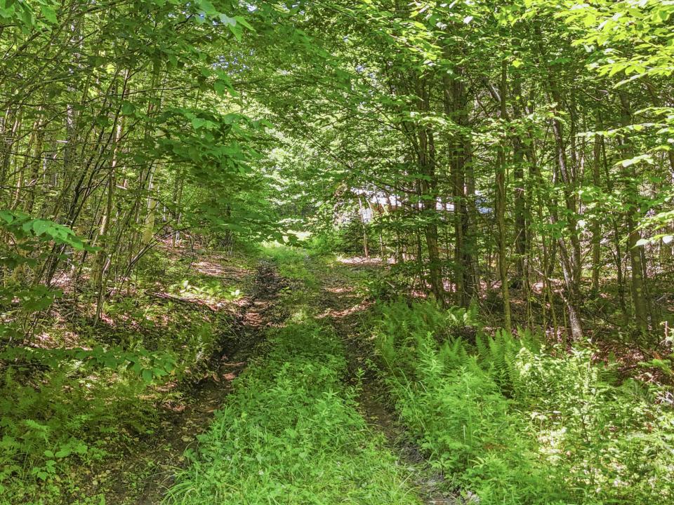DJI_20250715134148_0044_D_ DJI_20250715134148_0044_D_