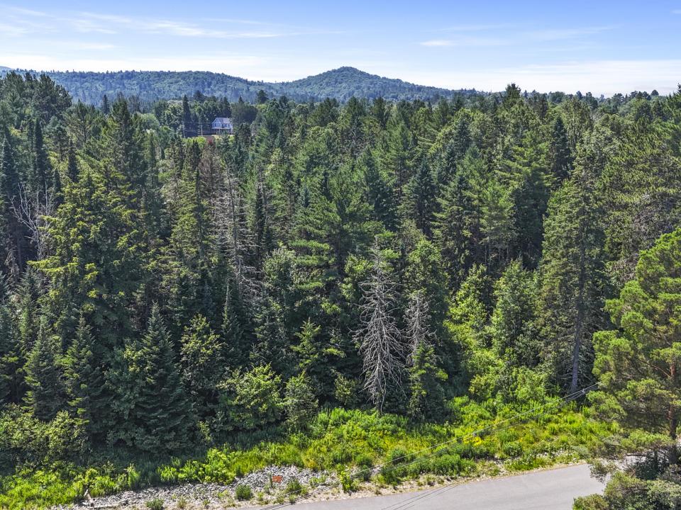 DJI_20250715125913_0013_D_ DJI_20250715125913_0013_D_