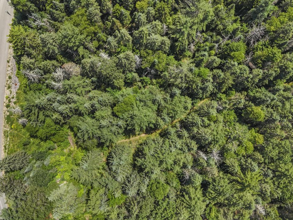 DJI_20250715130322_0020_D_