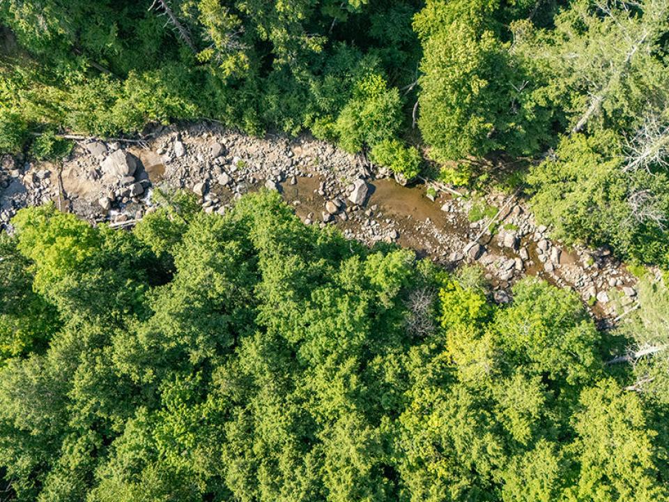 KeeneCabinOnStylesBrookRd_A_Brook_Above