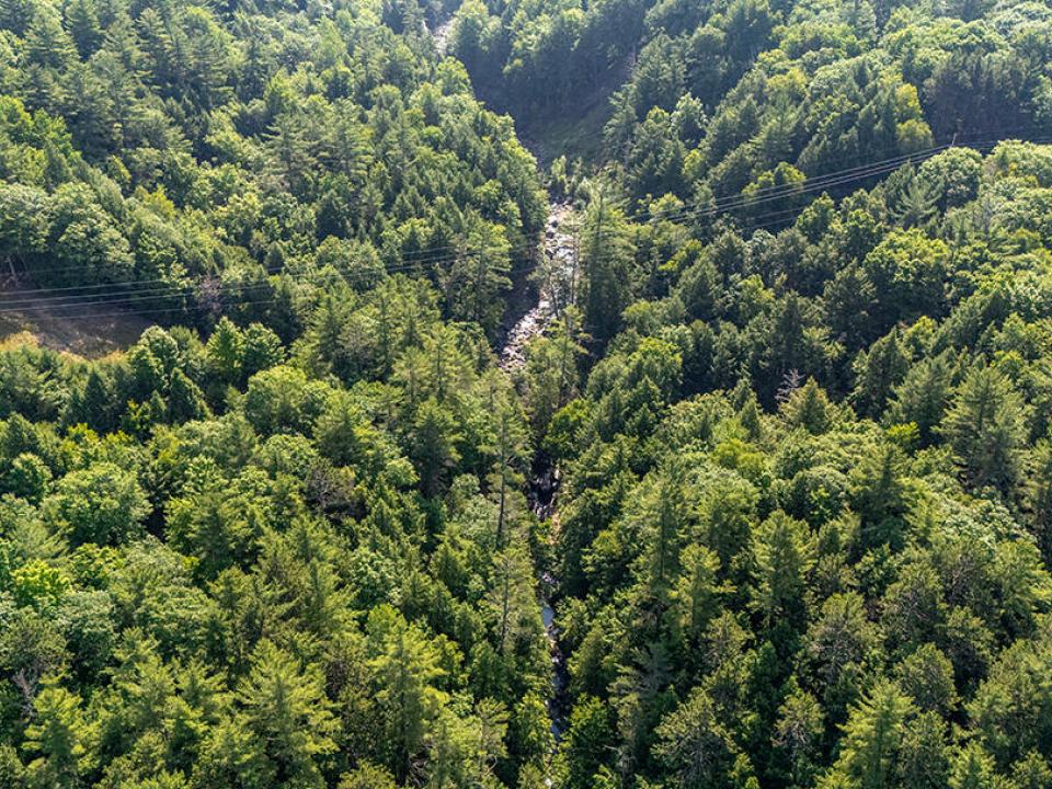 KeeneCabinOnStylesBrookRd_A_Brook_Toward