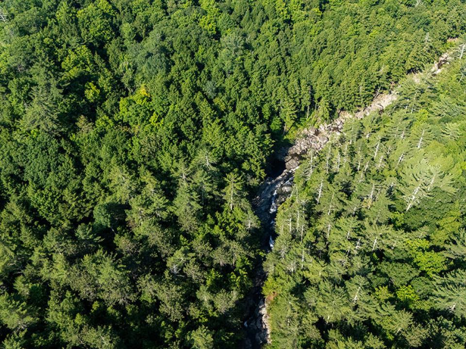 KeeneCabinOnStylesBrookRd_A_Brook_Toward