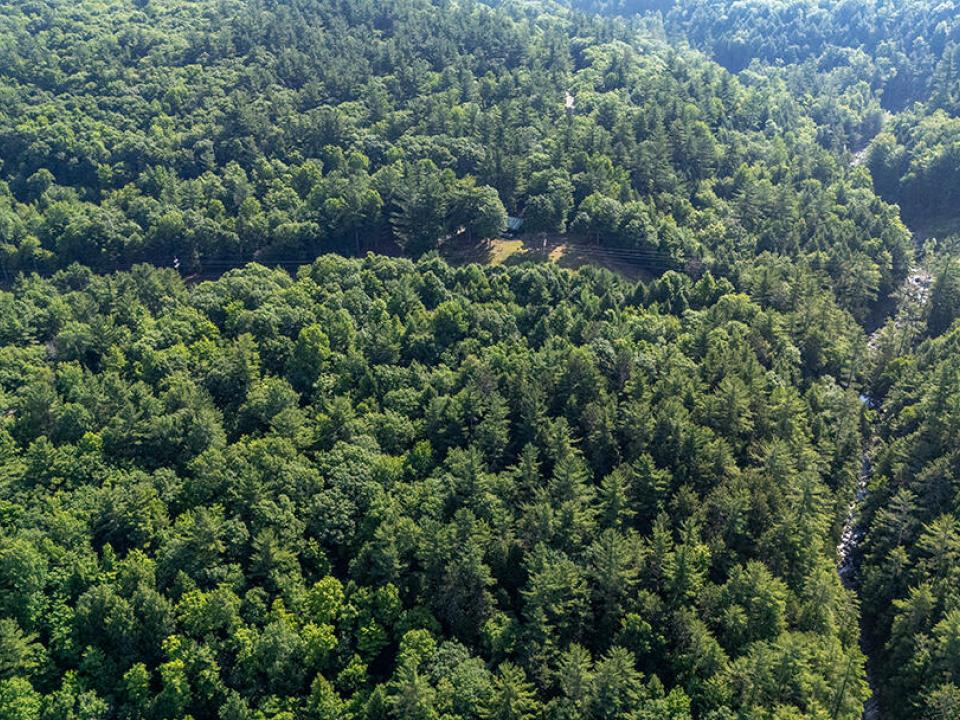 KeeneCabinOnStylesBrookRd_A_Property_Bro