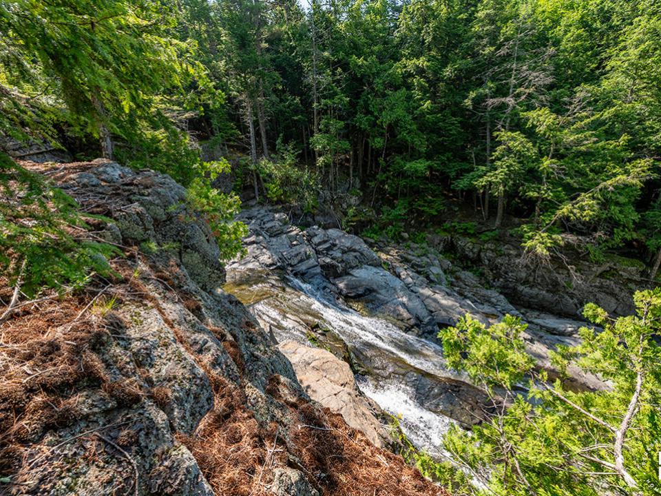 KeeneCabinOnStylesBrookRd_Brook_Above_R