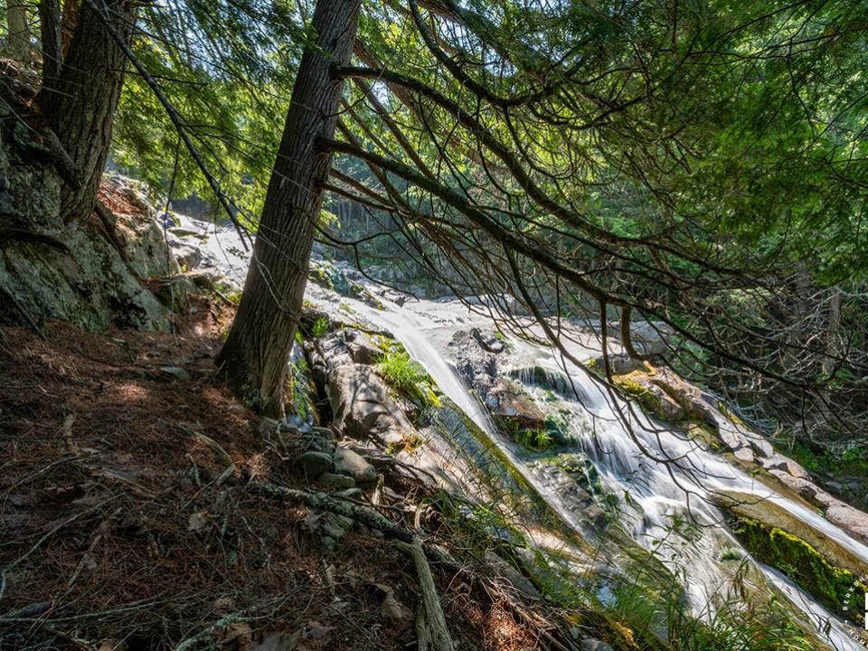 KeeneCabinOnStylesBrookRd_Brook_Falls