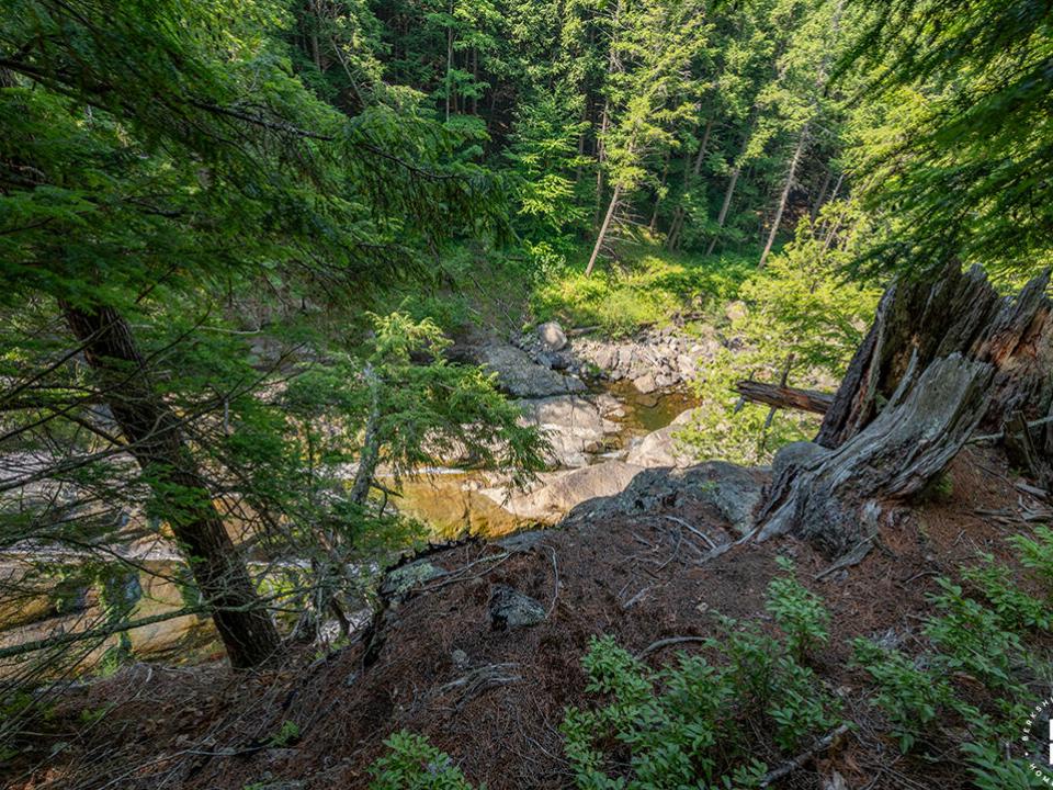 KeeneCabinOnStylesBrookRd_Brook_Stump