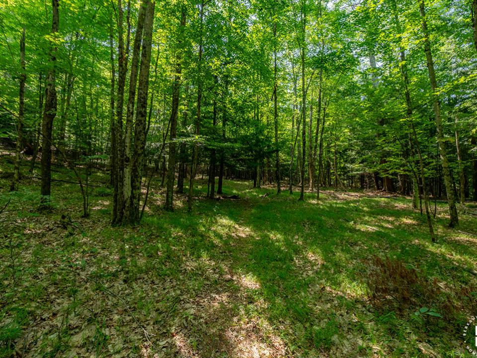 KeeneCabinOnStylesBrookRd_Land_Opening2