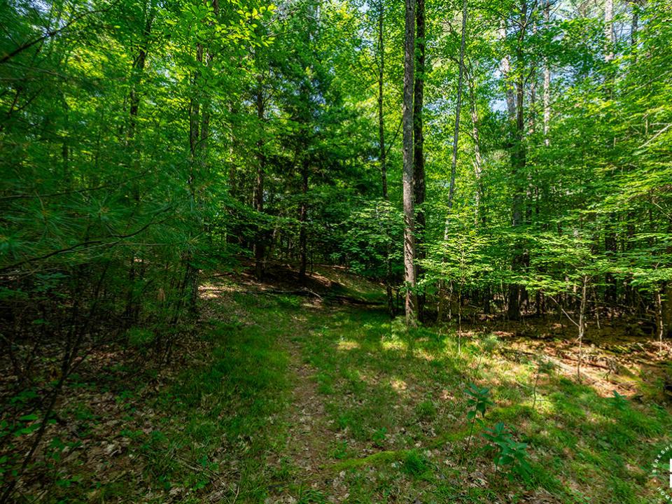 KeeneCabinOnStylesBrookRd_Path_Into_Land