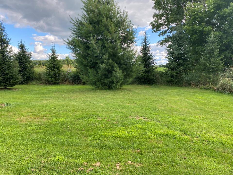 Yard 2