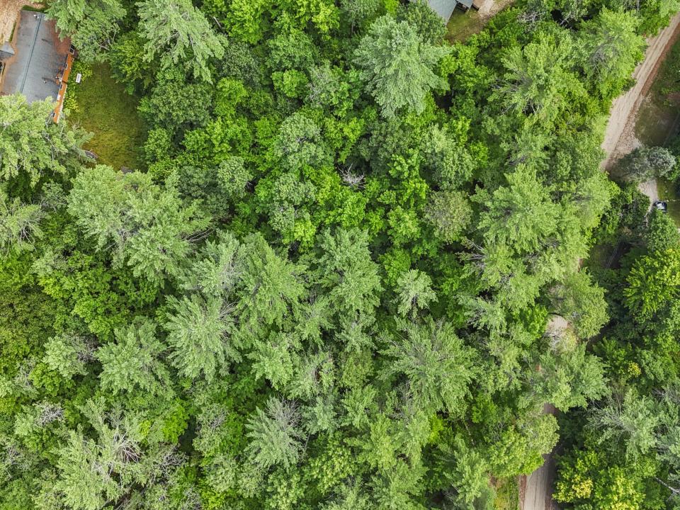 DJI_20250721145004_0042_D_