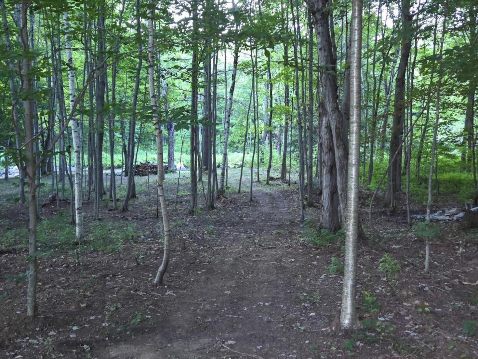 30-20250724_201332 30-20250724_201332