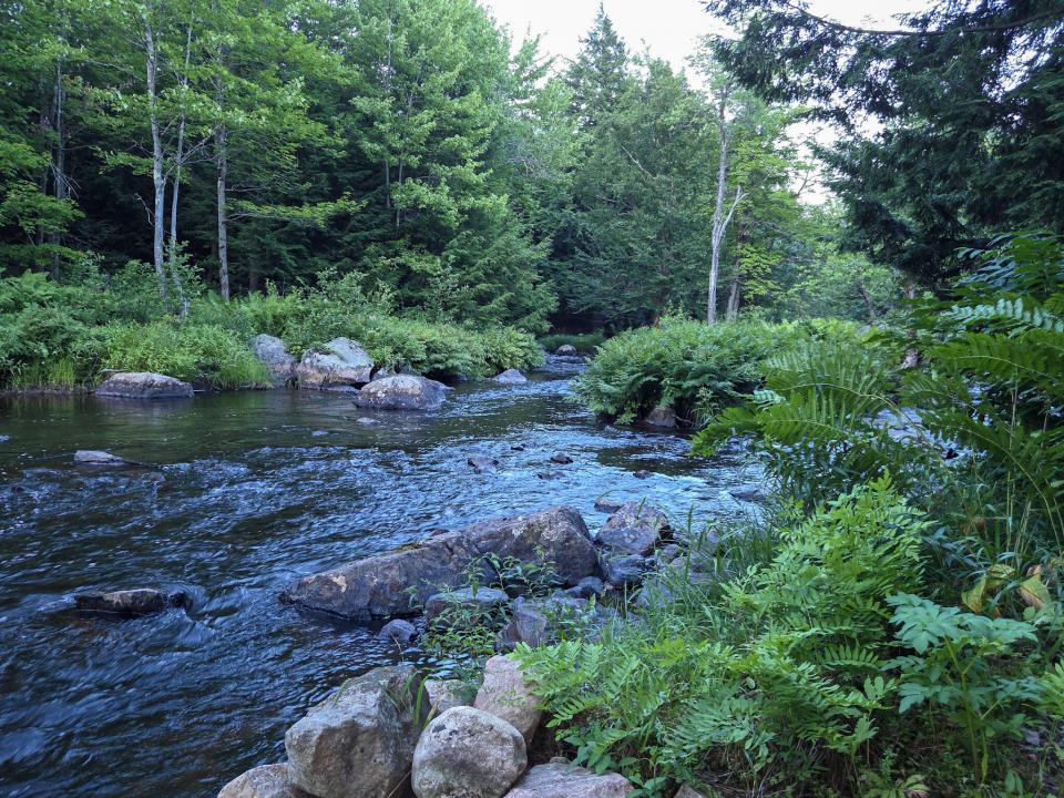 28-20250724_201430 28-20250724_201430